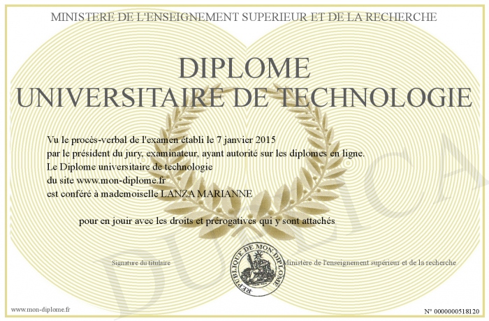 diplome universitaire janvier